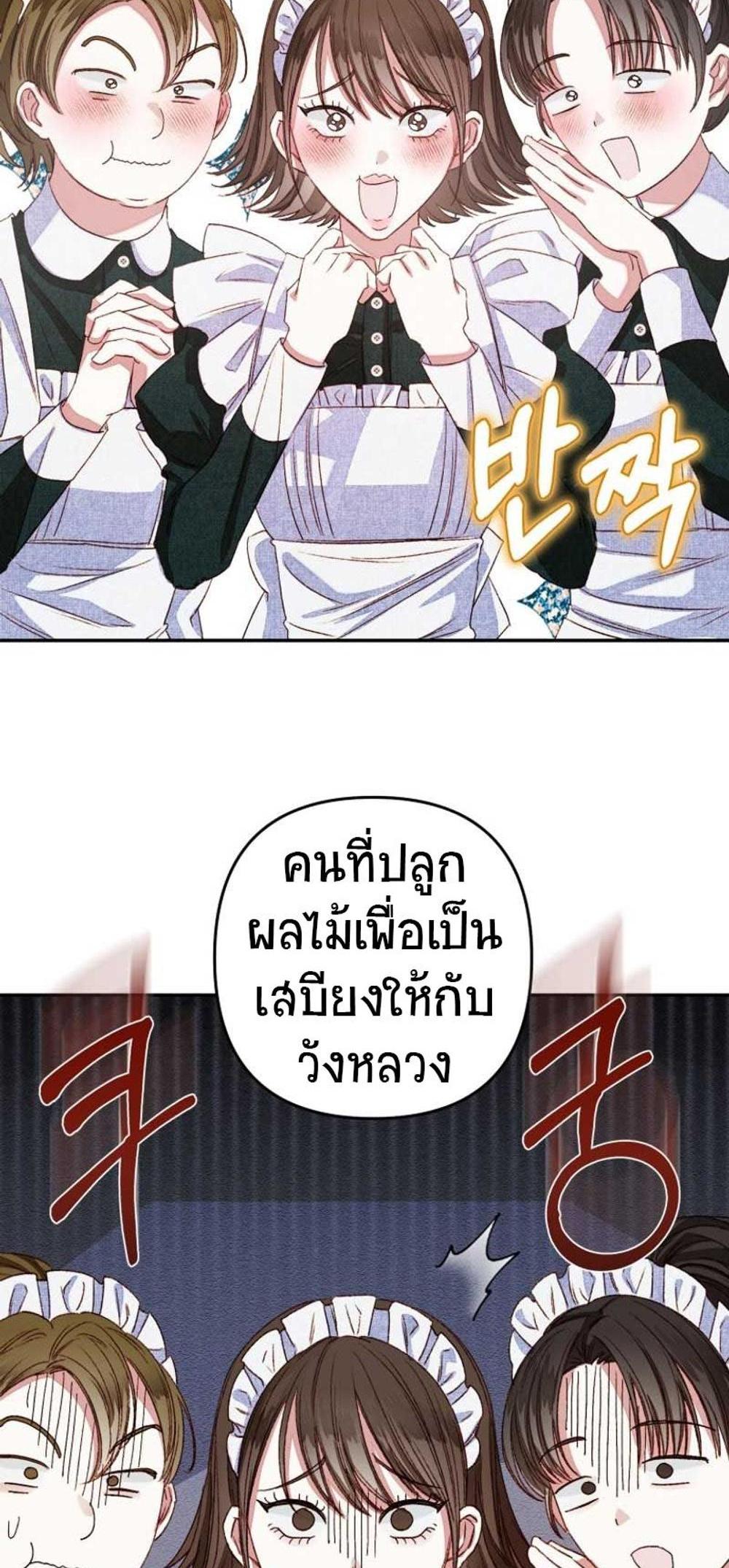 Being a Maid is Better than Being a Princess แปลไทย