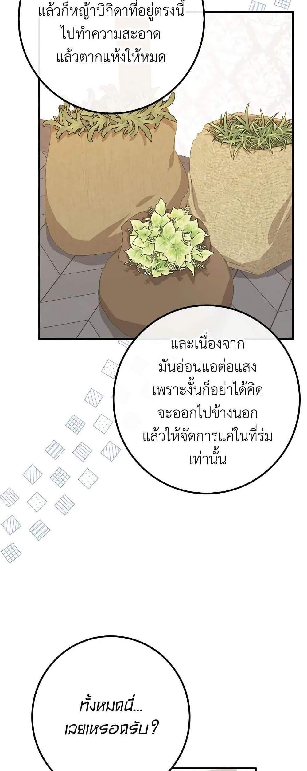 Doctor Resignation แปลไทย