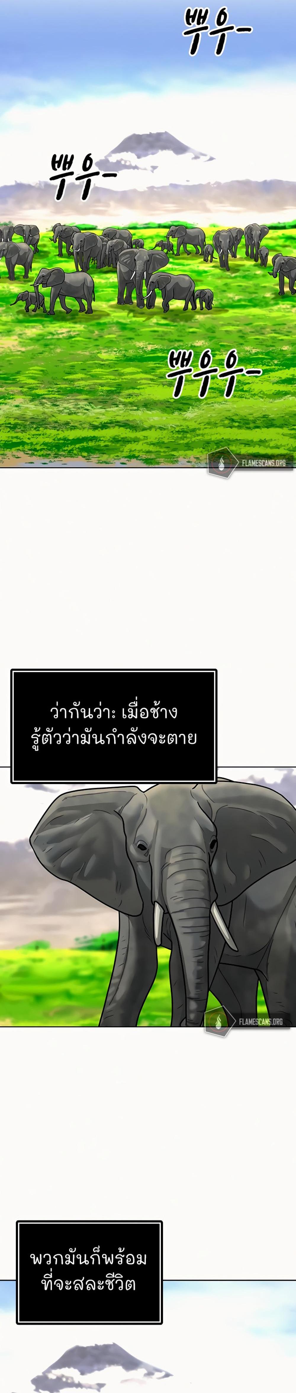 Reality Quest แปลไทย