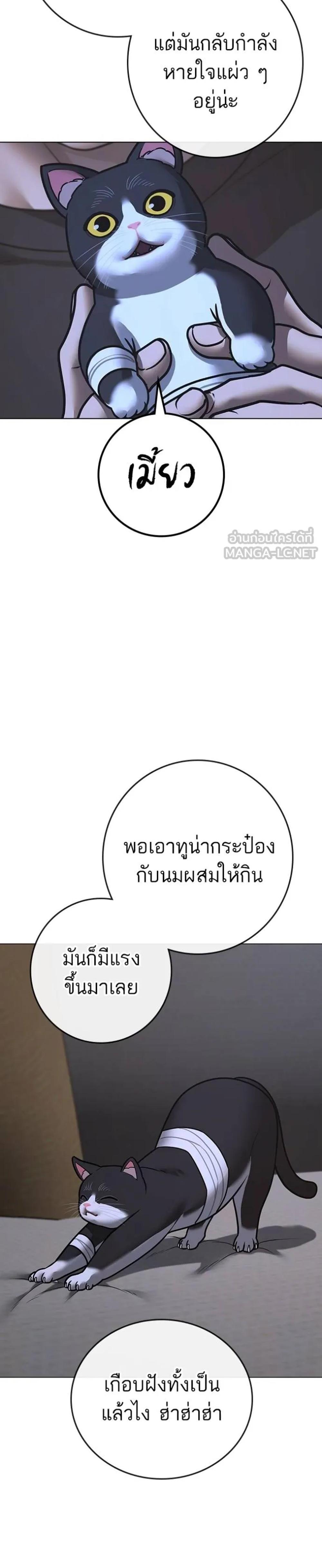 Reality Quest แปลไทย