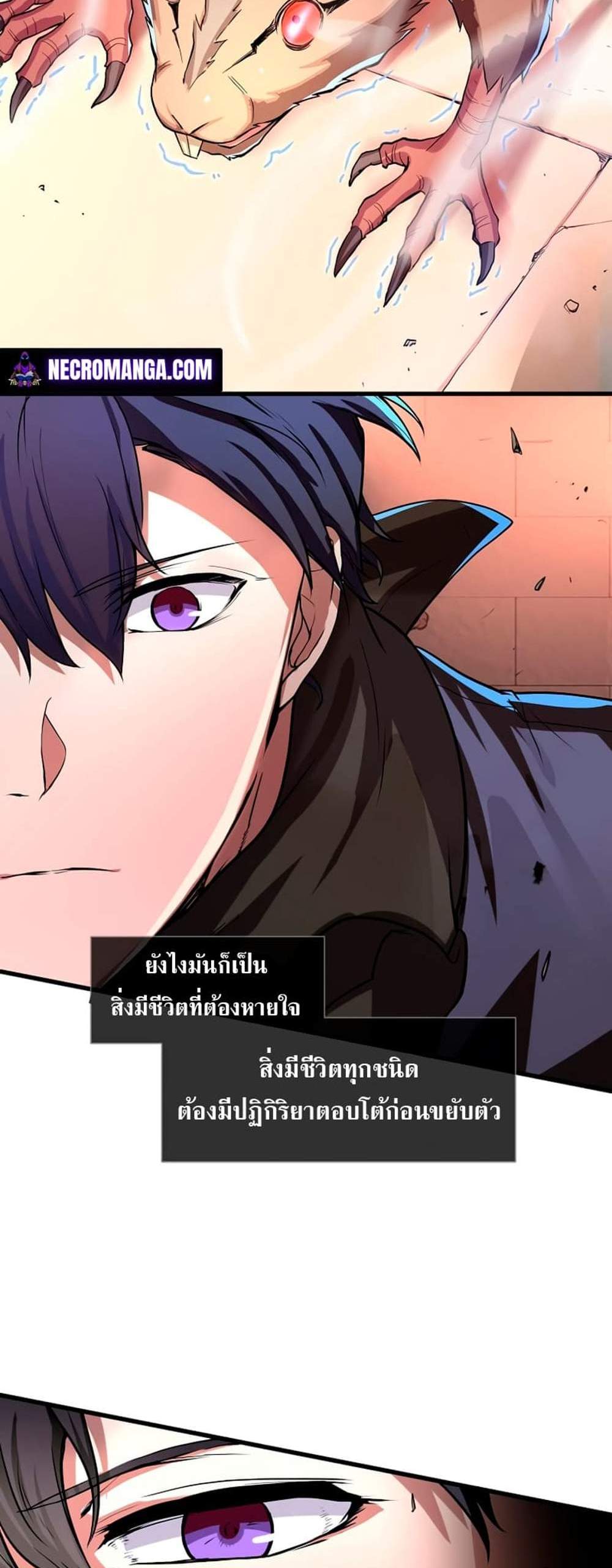 Level Up with Skills แปลไทย