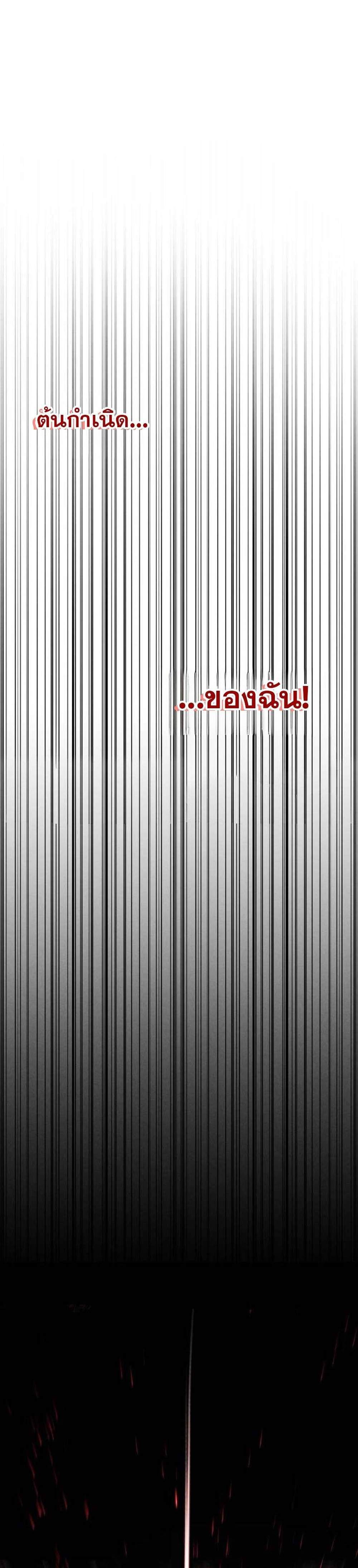 Absolute Necromancer ออลมาสเตอร์ เนโครแมนเซอร์ แปลไทย